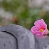 雨の日に・・。2