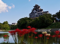 彼岸花と岡山城 2