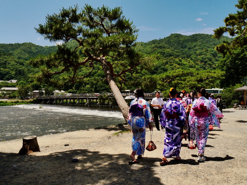 初夏の嵐山