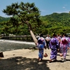 初夏の嵐山