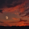 夕空の月を・・。
