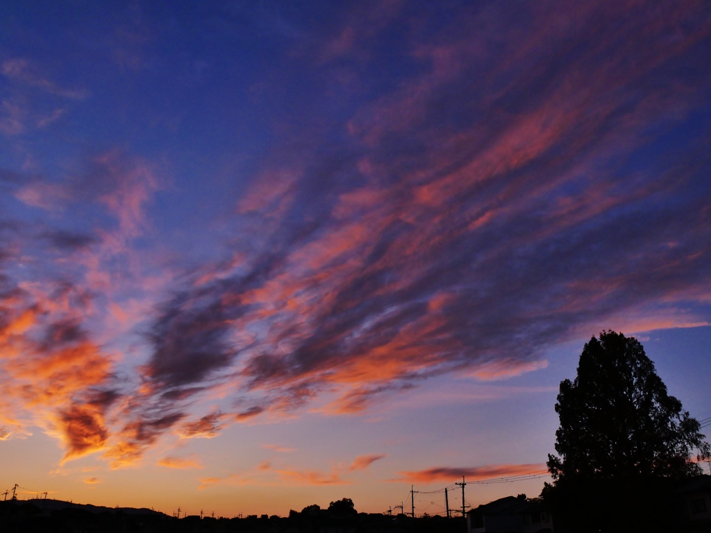 はばたく様に夕焼け雲が・・。1