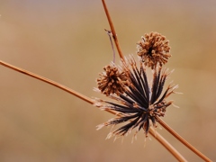 冬の色・・。2