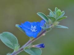 青が綺麗