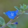 青が綺麗