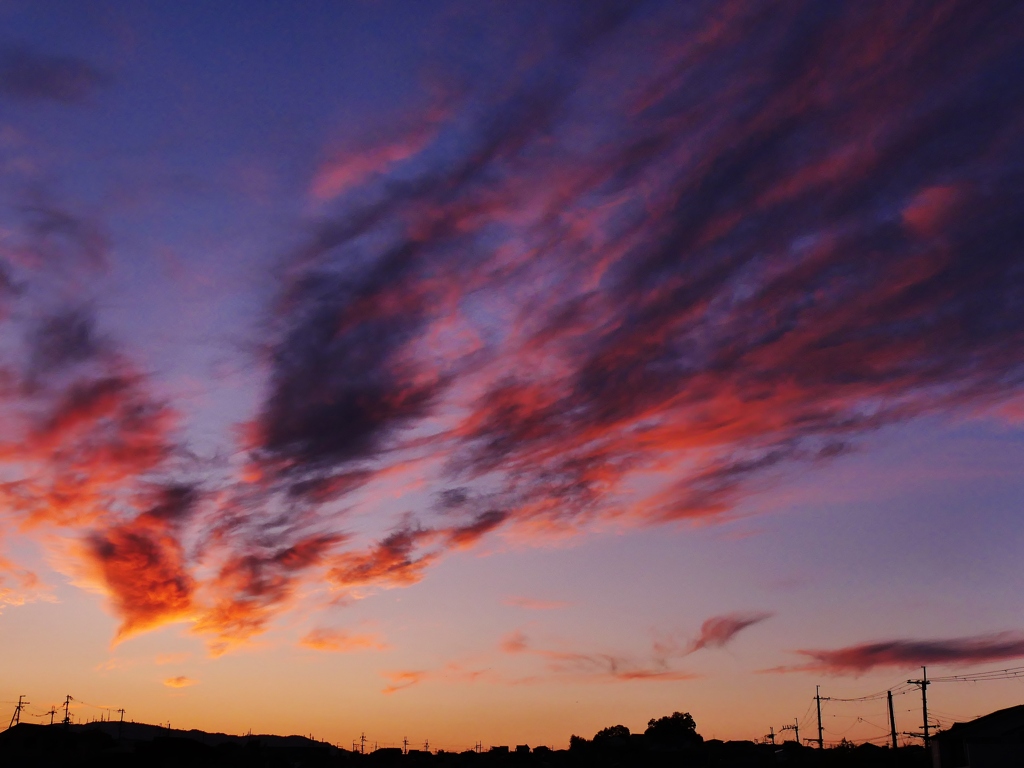 はばたく様に夕焼雲が・・。2