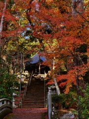 丹波篠山・高蔵寺本堂へ・・。