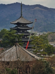 古都奈良・興福寺 3