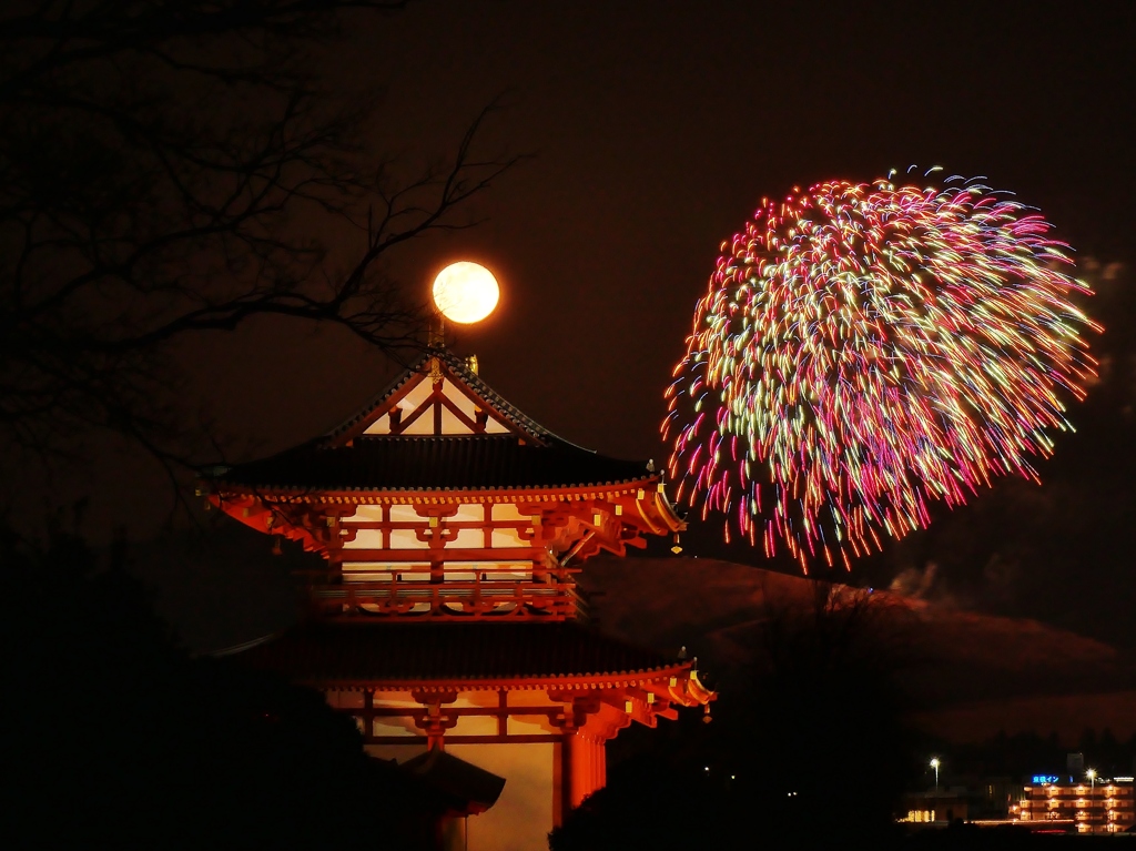 奈良公園バースデー花火3