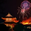奈良・若草山山焼き 9