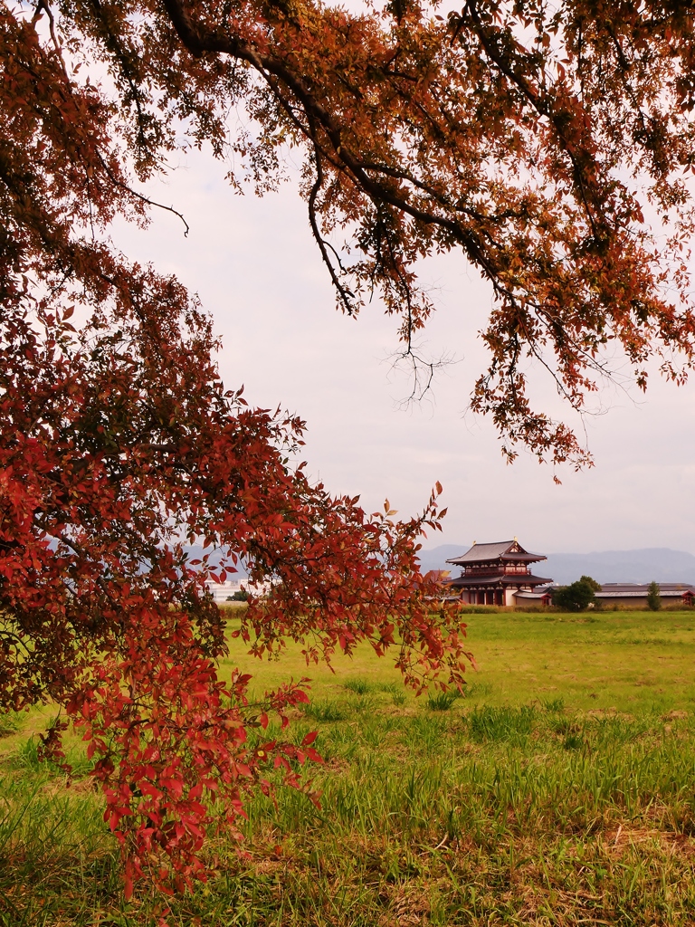 紅葉の平城京 1