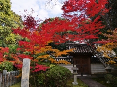 奈良秋篠寺・ご香水社の紅葉