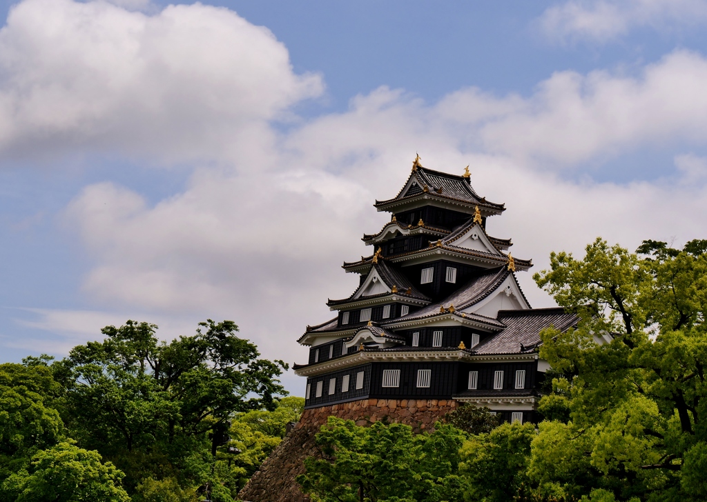 新緑の岡山城 2