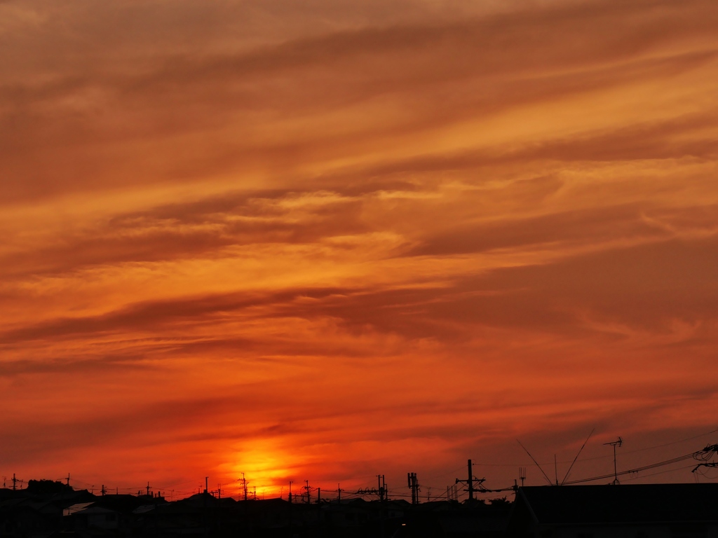 夕空をオレンジに染めて・・。