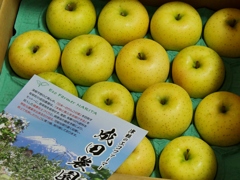 津軽のリンゴ 1