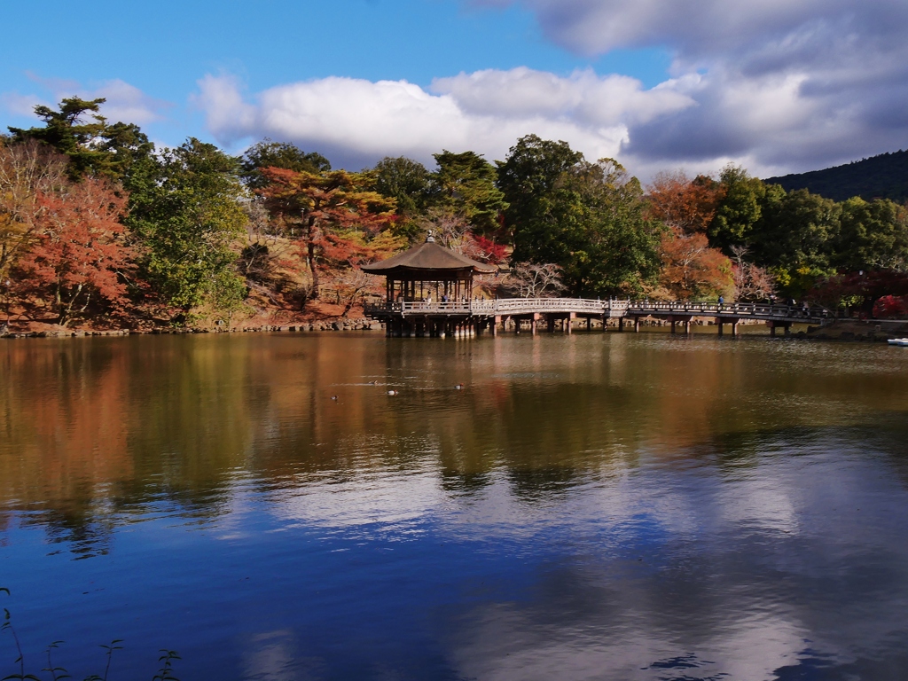 古都奈良の紅葉・浮見堂4