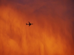 夕焼け空を飛ぶ 1