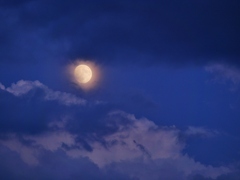 雲間の十四夜の朧月