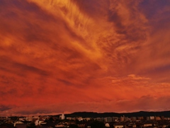 東の空の夕焼け