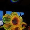 ひまわりと花火