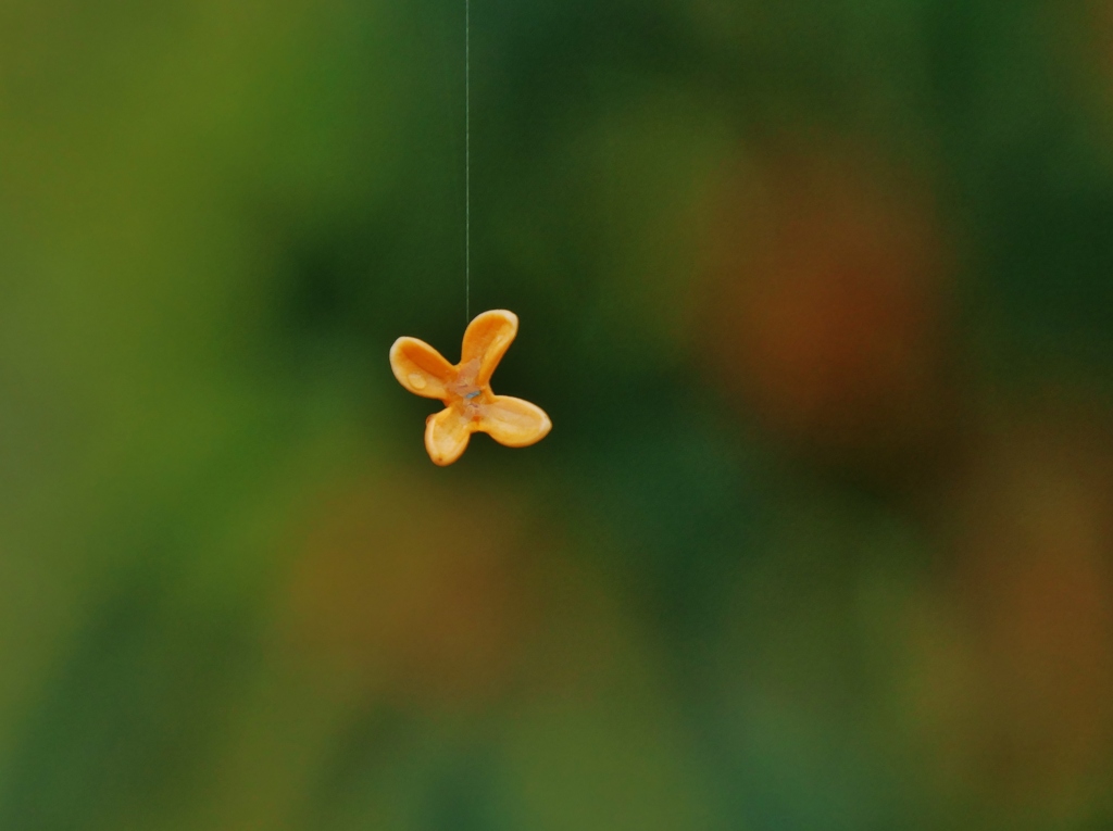 金木犀ゆ～らゆら