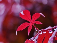 雨の日に・・。