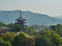古都奈良・興福寺伽藍遠望