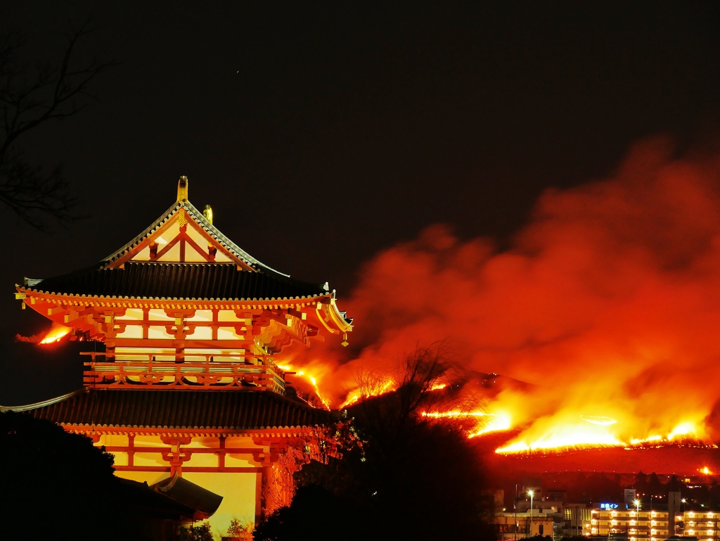 奈良・若草山山焼き 3