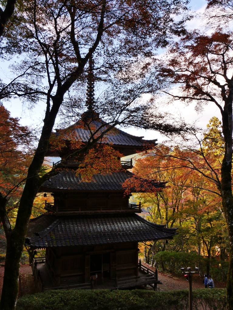 丹波篠山高源寺・三重塔紅葉 2