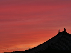 夕焼けに染まる・・。2
