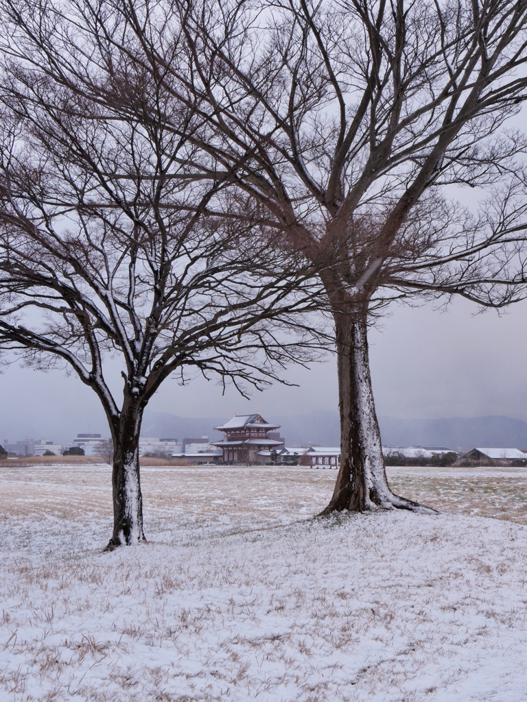 雪の平城京3