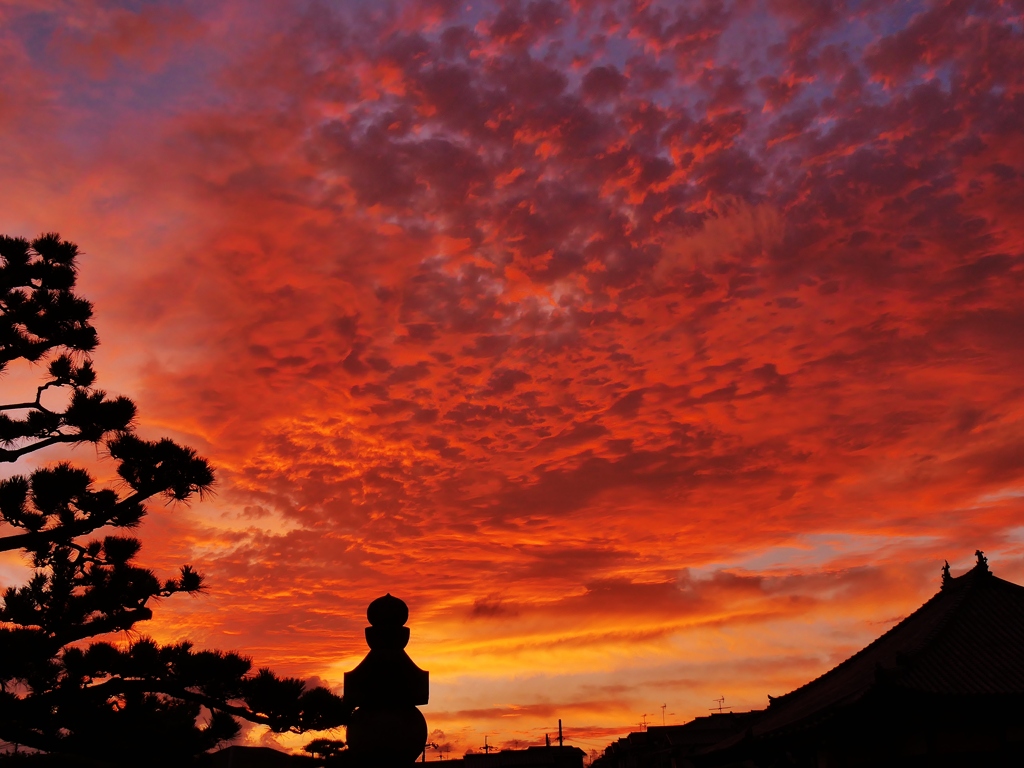 奥の院夕景 3