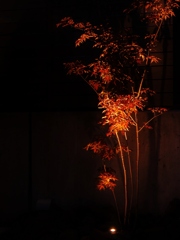 秋の夕べ・・。2