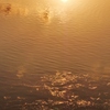 朝陽に煌めく氷 2