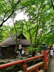 新緑の茶屋