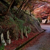 丹波篠山円通寺・石仏たちと紅葉 1