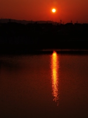 夕陽を映す・・。