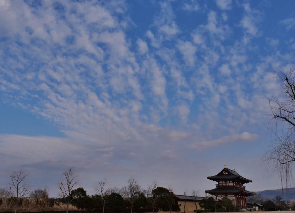 冬の平城京2