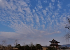 冬の平城京2