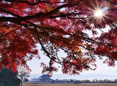 平城京紅葉2