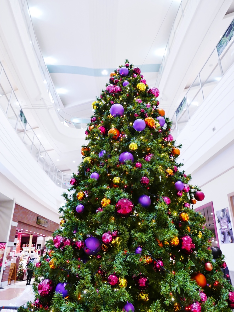 大きなクリスマスツリー・・。