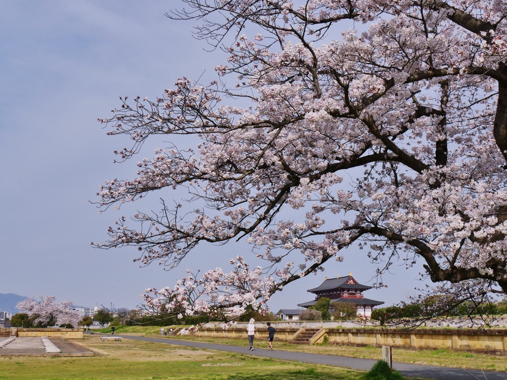 平城京の春 3