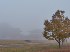 霧の平城京5