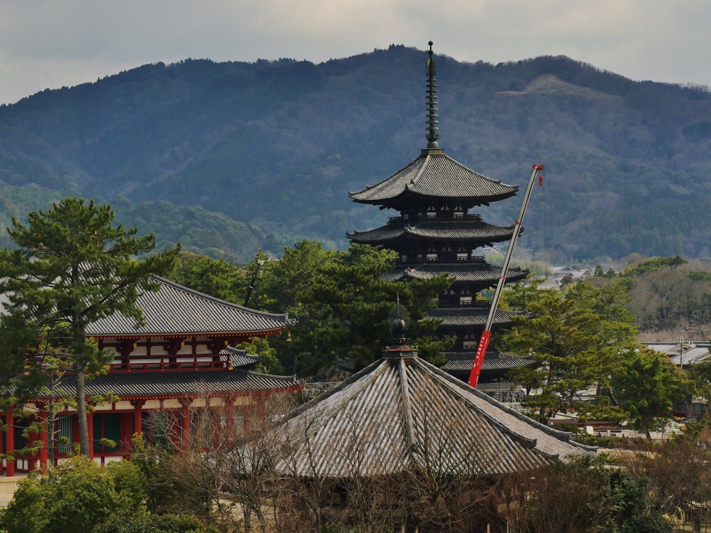 古都奈良・興福寺 4