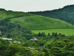 深緑の若草山遠望