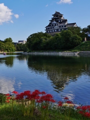 彼岸花と岡山城 1