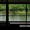 雨の旧大乗院庭園