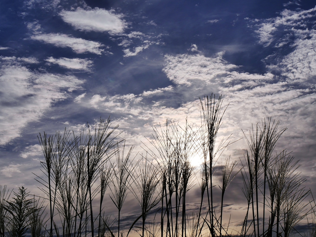 秋の空