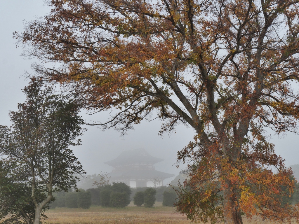 霧の平城京10