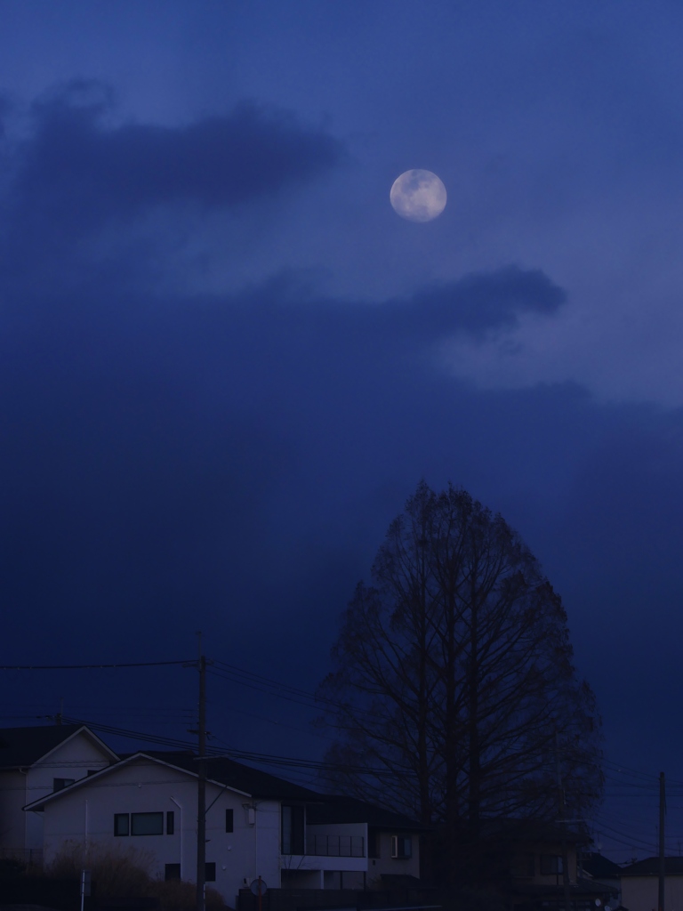夕月